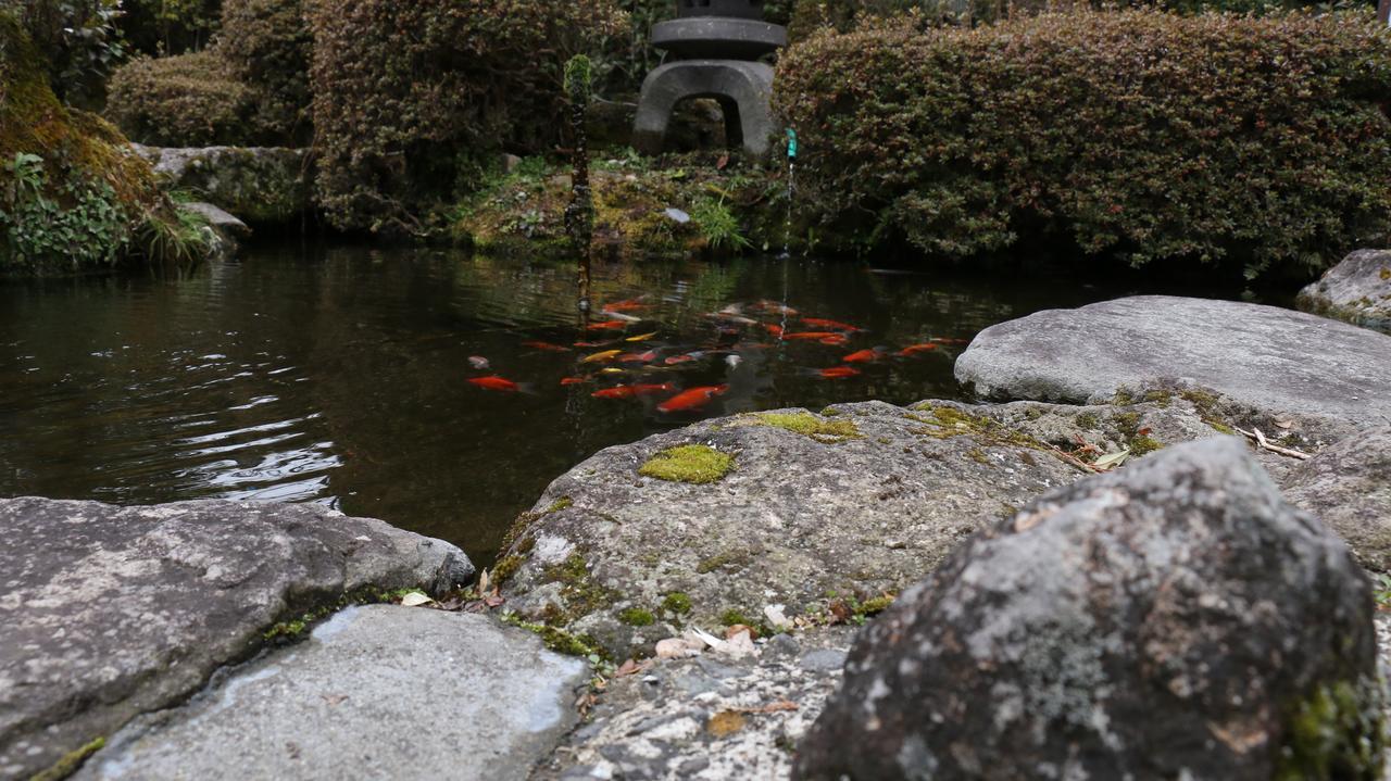 民宿碧云庄传统日式旅馆 九重町 外观 照片